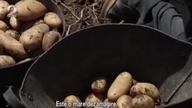 VIDEO Apa e aur lichid pe unele insule din Grecia. Autoritățile au impus deja limite de consum
